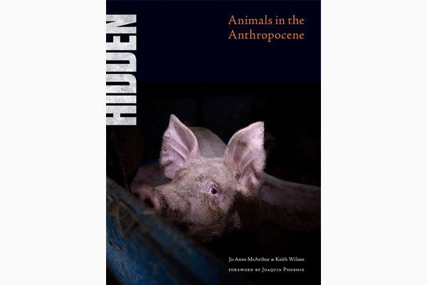 Hidden. Animals in the Anthropocene