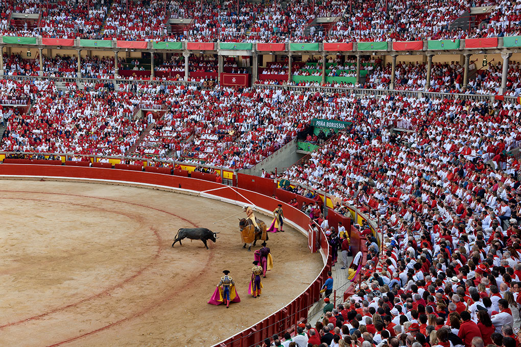 The picador inserts the puya into the morrilo of the bull in order to bleed the bull and reduce its strength.
